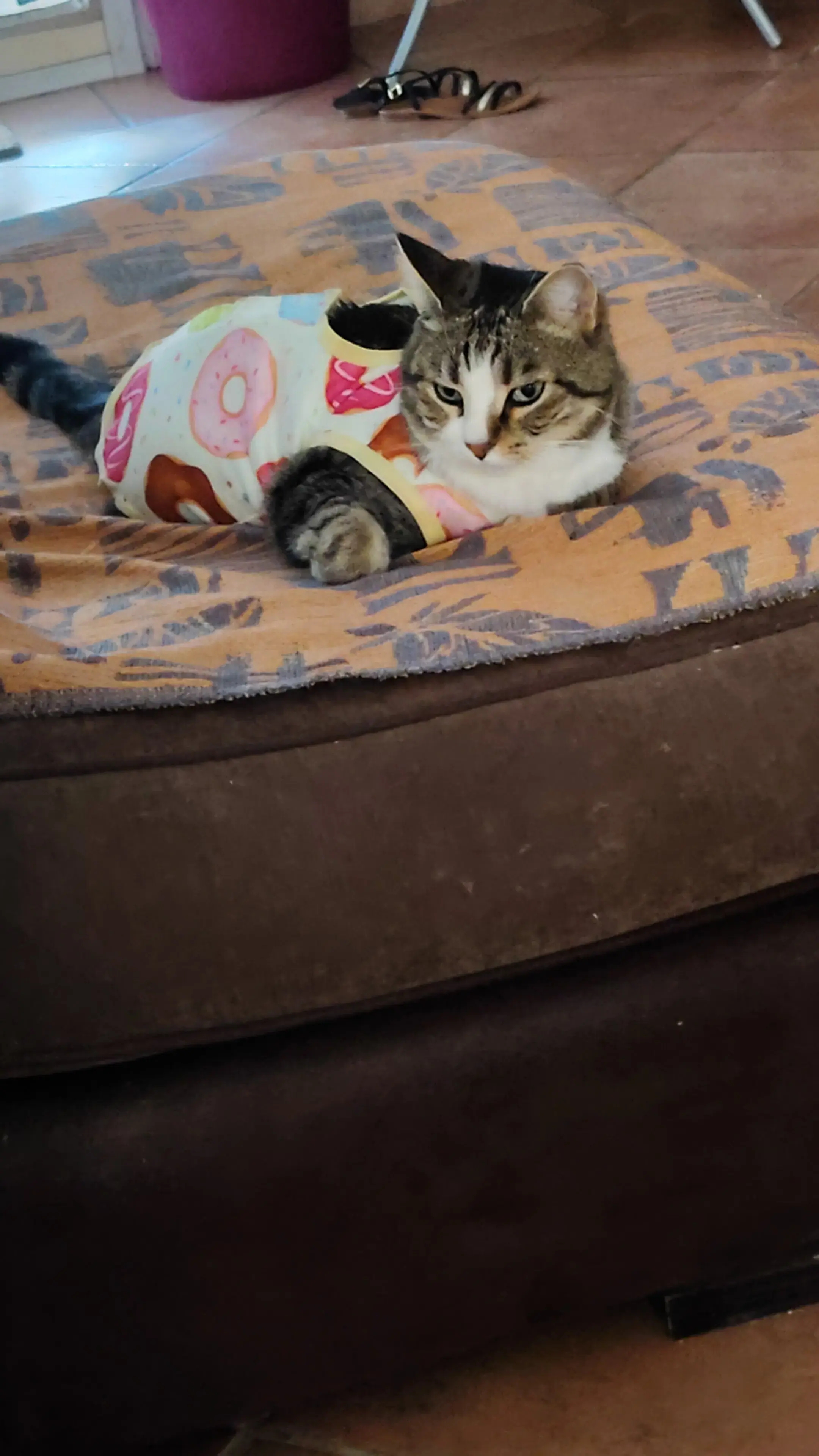 IMG-20250705-WA0000.webp