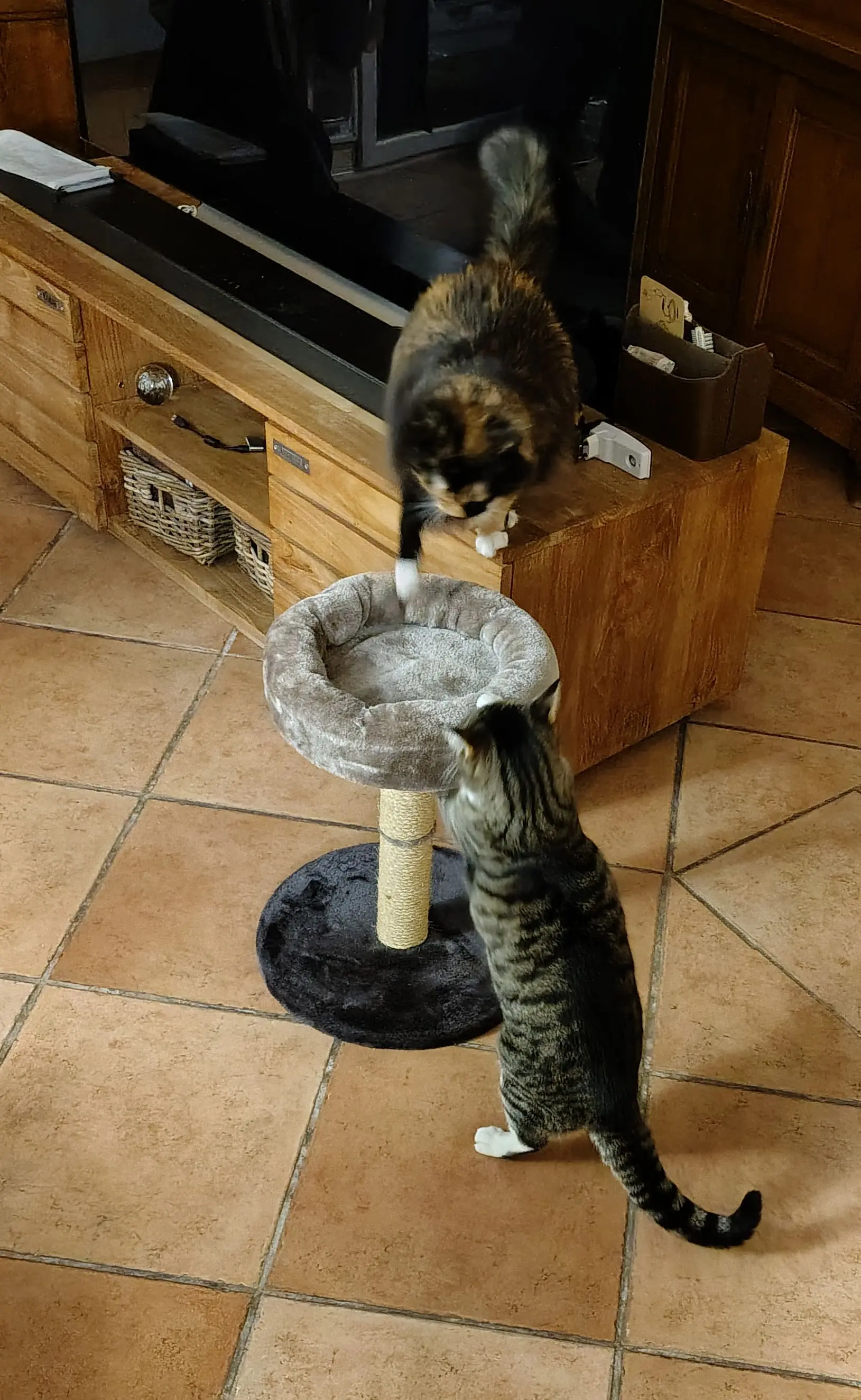 IMG_20250308_234339330_HDR~2.webp
